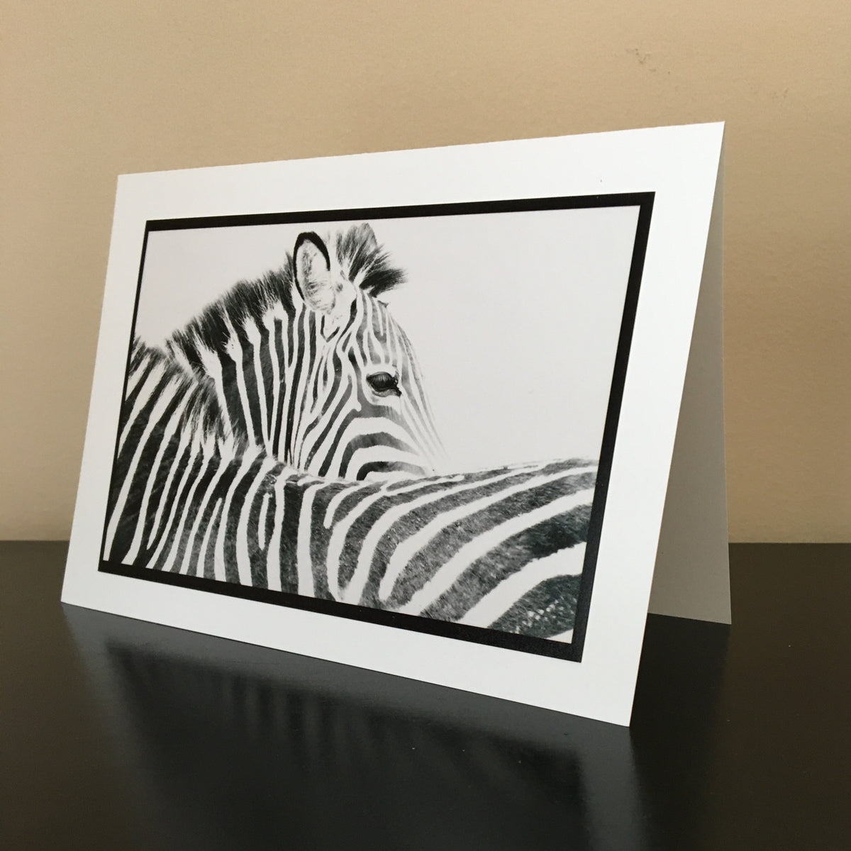 Zebra – Landriault Nature Photography